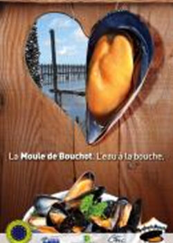 Moules-Campagne2013-14